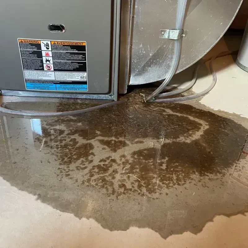 Appliance Leak Cleanup in New Britain, CT